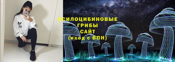 дмт Алексеевка