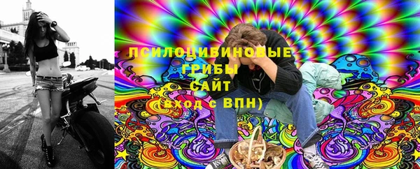 дмт Алексеевка